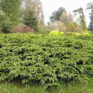 Arboretum - jaro