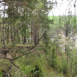 Arboretum - jaro