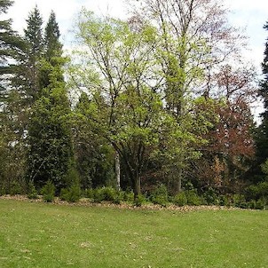 Arboretum - jaro