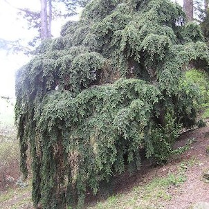 Arboretum - jaro