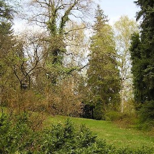 Arboretum - jaro