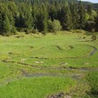 files/gallery/16751/63014.jpg
