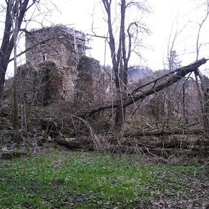 zřícenina Pasovary, zřícenina Pasovary