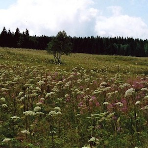 K pramenu Vltavy