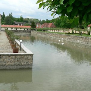 V zahradě