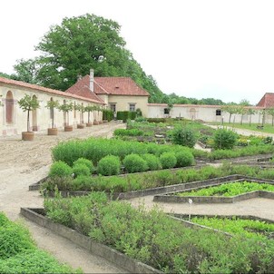 Zahrada