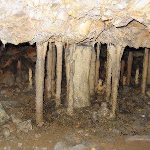 Kateřinská jeskyně, Kateřinská jeskyně krápníková výzdoba