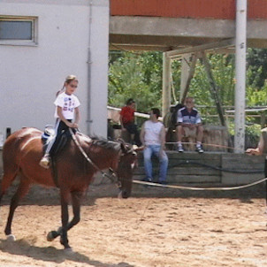 Jezdecká škola