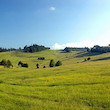files/gallery/16570/62855.jpg