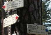 Rozcestí nad Arboretem