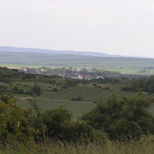 pohed z vřesoviště k Havraníkům