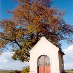 Kaplička