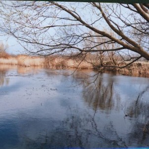 jezero