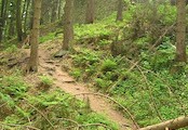 Kynžvart - hrad, přístupová cesta na hrad