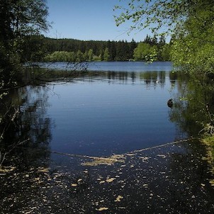 Kladská, Kladský rybník