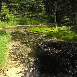 Kladská, Kladský rybník