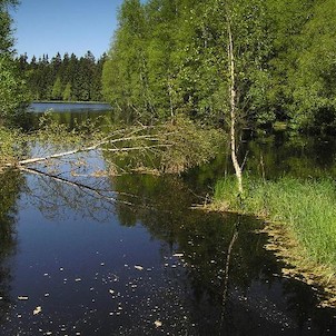 Kladská, Kladský rybník