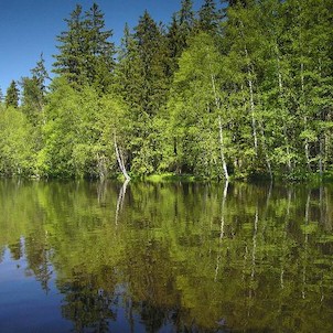 Kladská, Kladský rybník