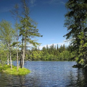 Kladská, Kladský rybník