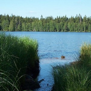 Kladská