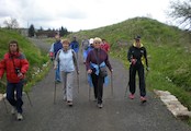 nordic  walking