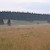Krušné hory, Podvečer na cestě ze Stříbrné do Rolavy