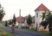 Male trakany