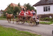 Zipovsky folklorny subor