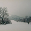 files/gallery/16544/62829.jpg