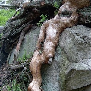 Labský důl