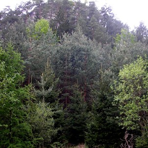 Stohánek
