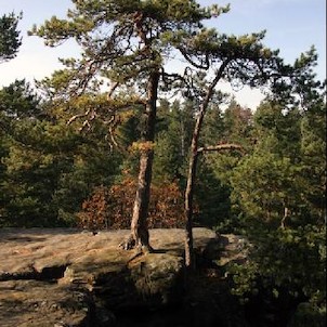 Husova vyhlídka