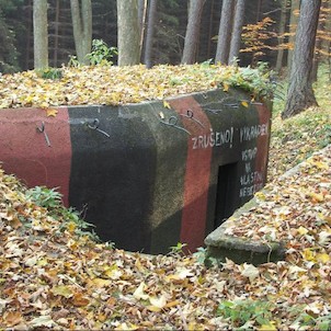 Vandalismus