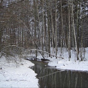 přítok Vodičná