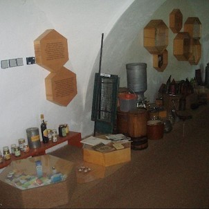 v expozici muzea včelařství