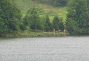 Přehrada Větřkovice
