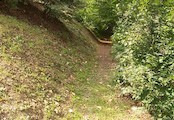 Chodník, Naučná stezka Bukový chodník, zámecký park