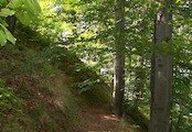 Chodník, Naučná stezka Bukový chodník, zámecký park