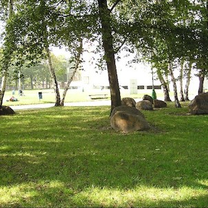 Rovninské balvany, Rovninské balvany - přírodní památka