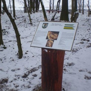 Info o meteorite