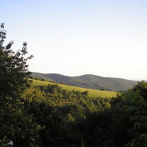Okolie obce Jedľové Kostoľany (foto B.K.)