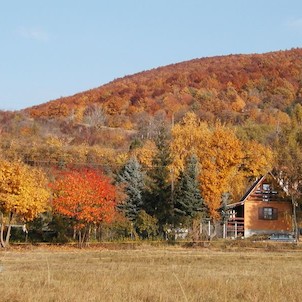 Osada (štál) Borisko,patriaca k obci (foto BK)