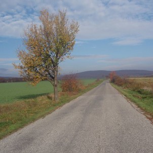 Cestička k domovu ...