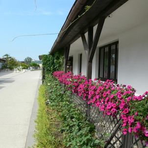Arboretum Bystrovany