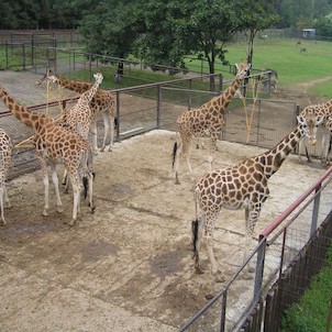 ZOO Olomouc