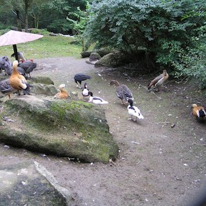 ZOO Olomouc