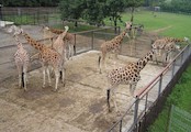 ZOO Olomouc