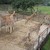 ZOO Olomouc