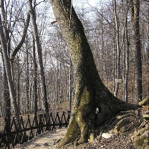 Hůrka