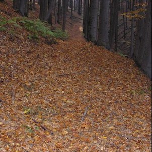 Bukoveček, Rezervace